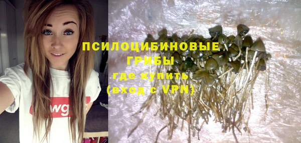 МДМА Горнозаводск