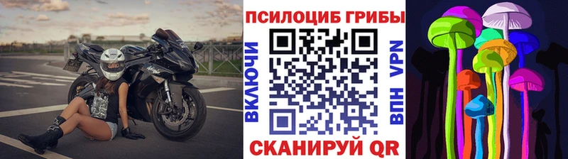 Галлюциногенные грибы Magic Shrooms  мориарти какой сайт  Дигора 