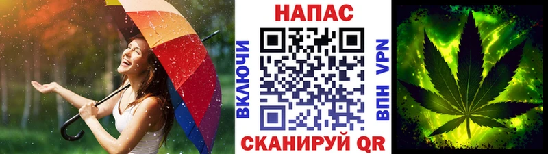 Марихуана MAZAR  Дигора 